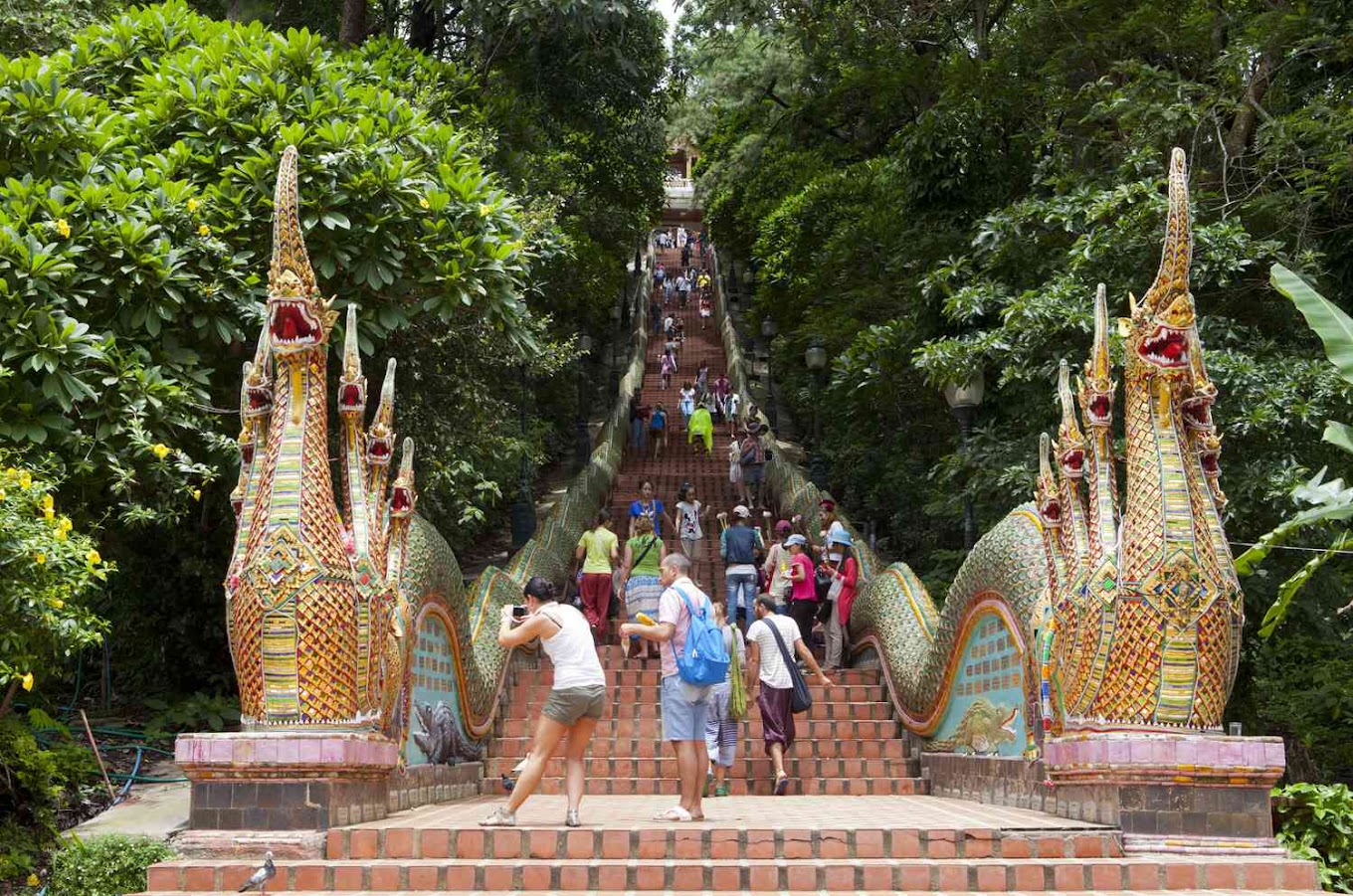 Chiang Mai and Northern Thailand Cycling Tour 9 Days